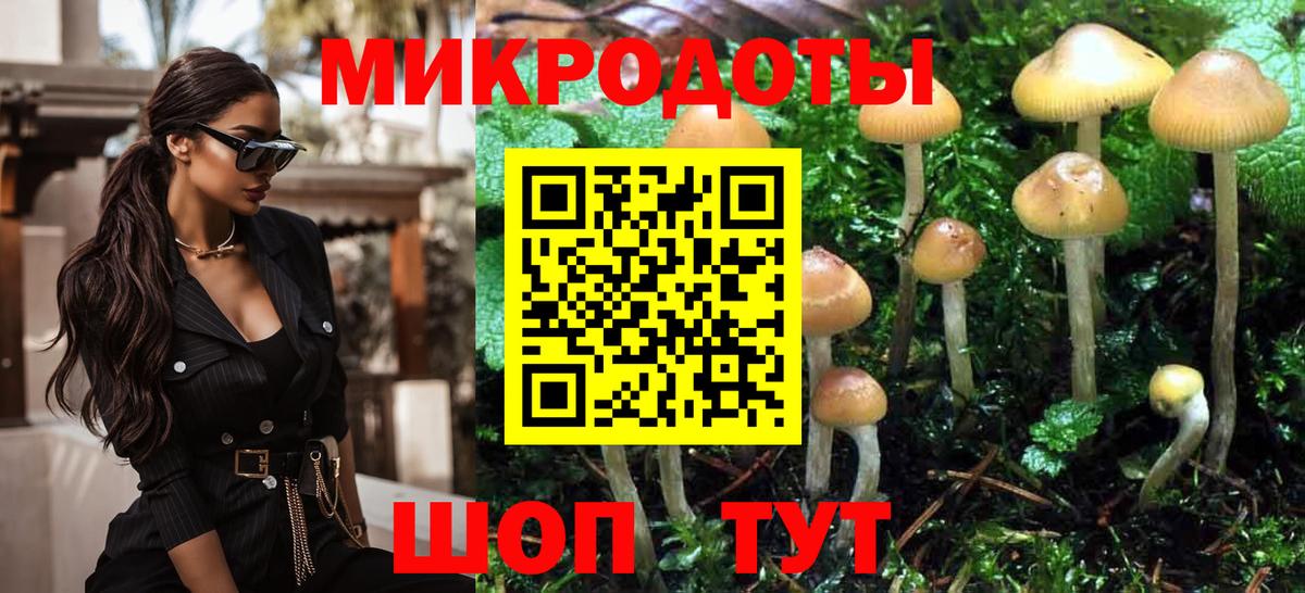 купить   Псилоцибиновые грибы мицелий  Вход с VPN  Иваново 
